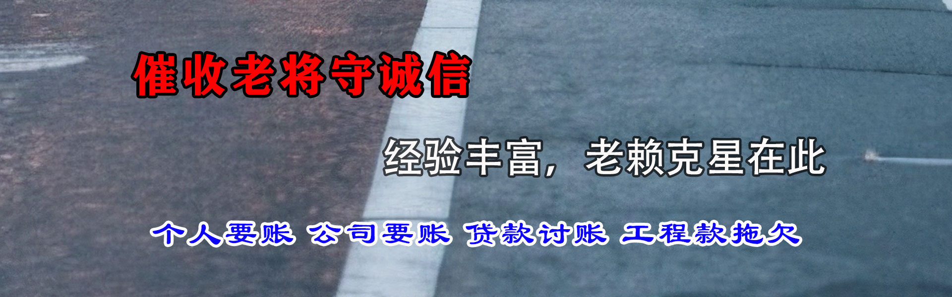 环翠收数公司